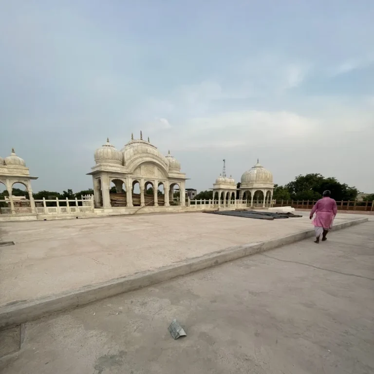 Government of Rajasthan Project 3