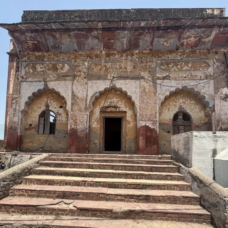 Kushak School Conservation Project 4