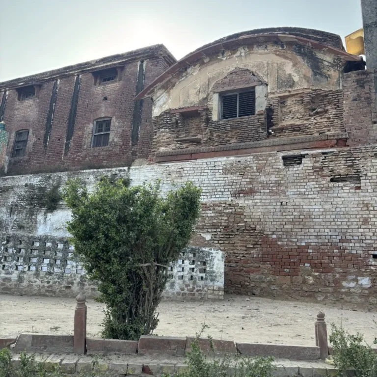 Kushak School Conservation Project 6