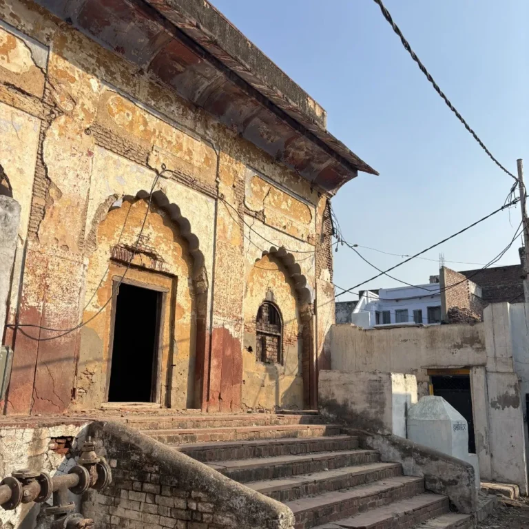 Kushak School Conservation Project 7