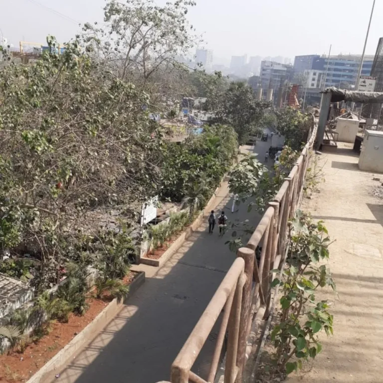 Mahakali Caves Impact Assessment 1
